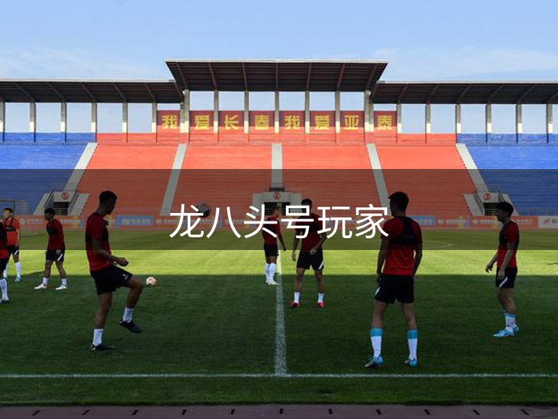 走进龙八头号玩家